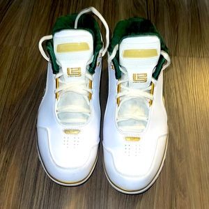 Lebron James sneakers
